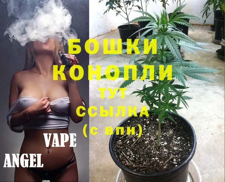 Конопля White Widow  это наркотические препараты  Верхотурье 